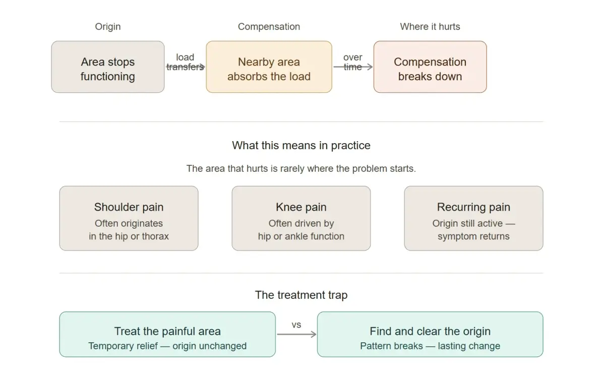 Egoscue compensation diagram showing how pain moves around the body
